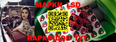 спайс Можга