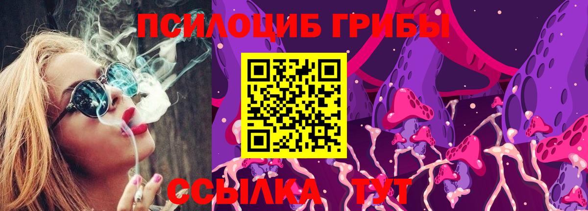 где купить наркоту  Псилоцибиновые грибы Psilocybine cubensis  Вход с VPN  Псилоцибиновые грибы Cubensis  Бузулук 